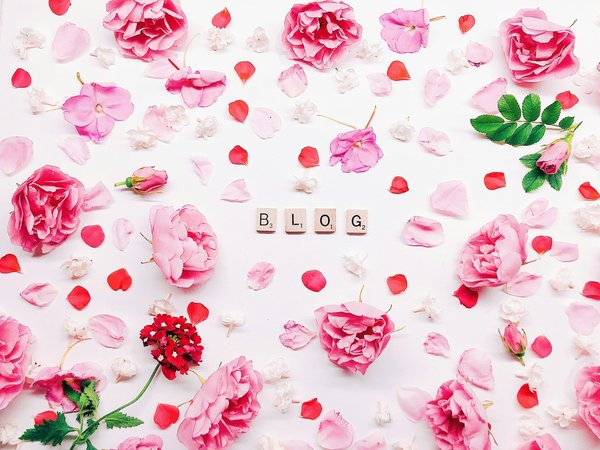 Les secrets d'un blog généraliste qui captivent votre audience