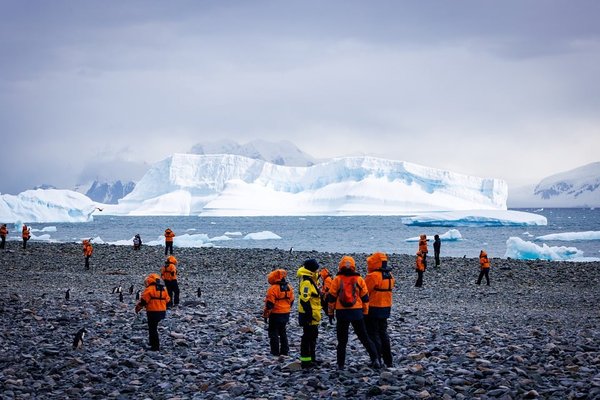 Top conseils pour organiser un voyage inoubliable en antarctique